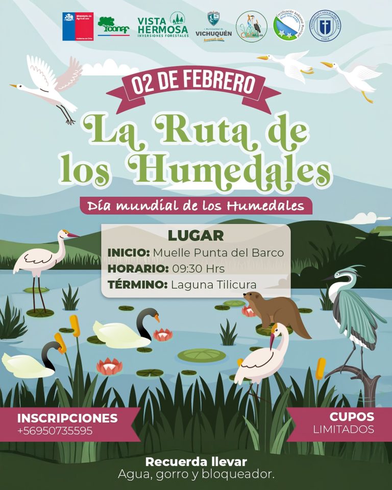 ¡Descubre la magia de nuestros humedales en Vichuquén!