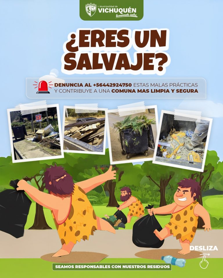 ¿Realmente queremos que nuestra comuna se vea así?