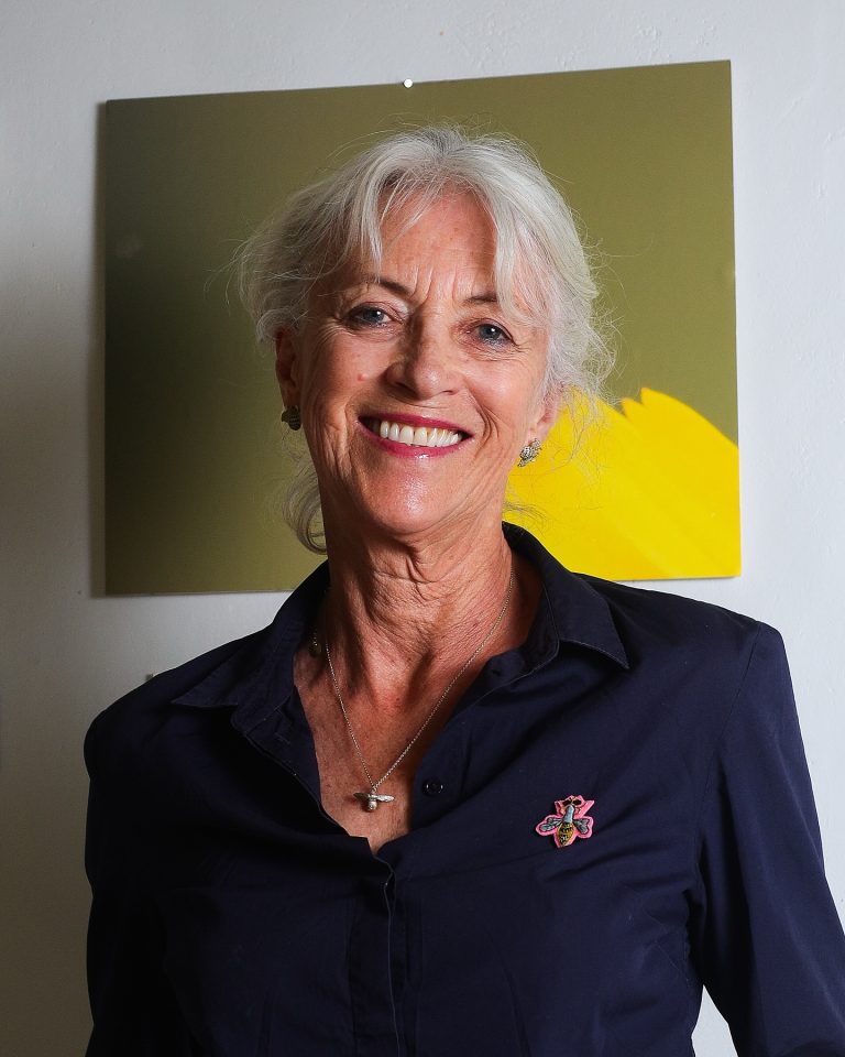 Vichuquén rinde homenaje a Georgina Gubbins: La guardiana de las abejas en nuestro aniversario 441