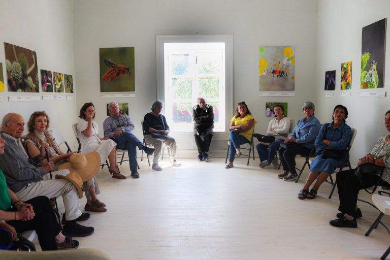 “Haciendo visible lo invisible”: Una experiencia de aprendizaje y encuentro para nuestras personas mayores en el MAB