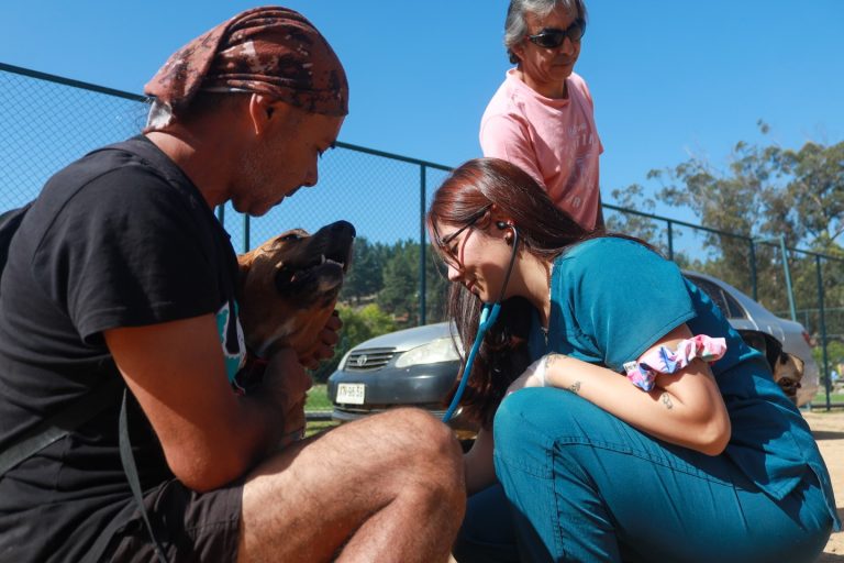 Tenencia Responsable: la comunidad de Llico participó del comienzo de los Operativos Veterinarios Gratuitos de la Municipalidad