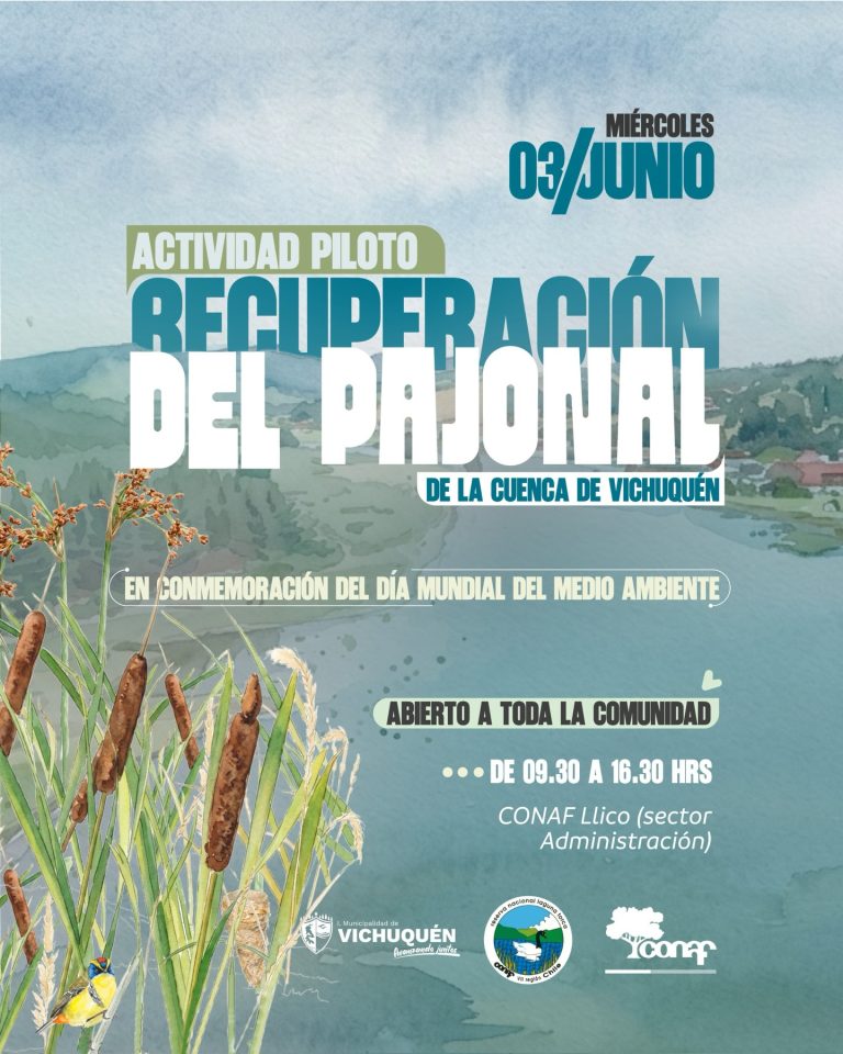 ¡Súmate este 3 de junio a la recuperación de nuestro pajonal