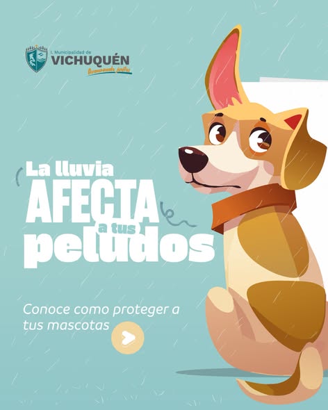 ¡En Vichuquén, cuidamos a nuestras mascotas de la lluvia!