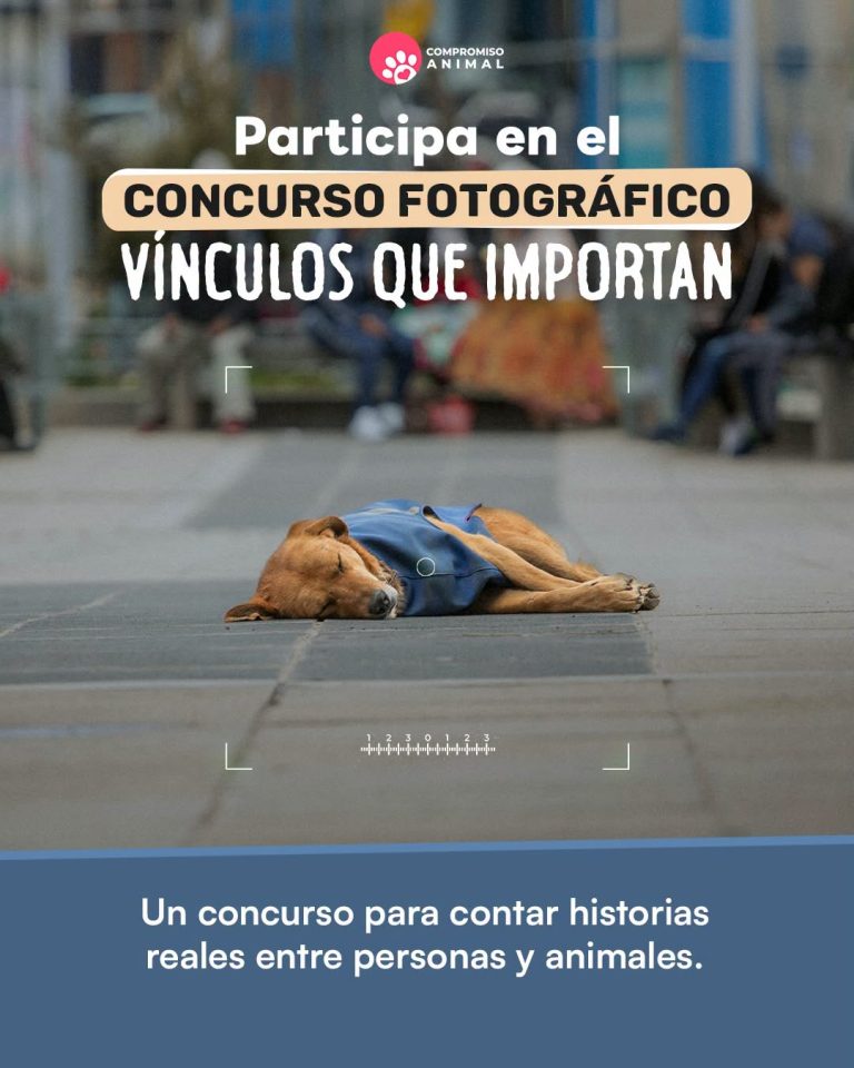 Nuestra Oficina de Tenencia Responsable de Mascotas te invita a: