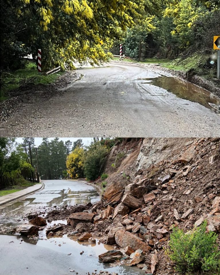 INFORME DE EMERGENCIAS Y TRABAJOS EN TERRENO