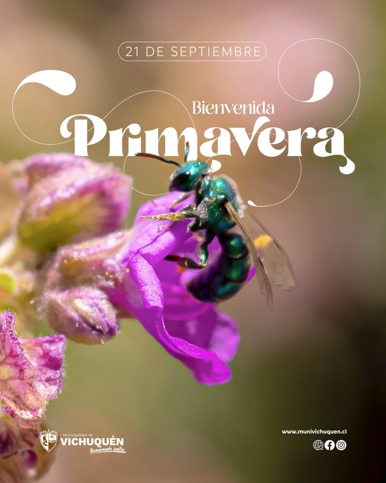 ¡BIENVENIDA PRIMAVERA EN VICHUQUÉN!