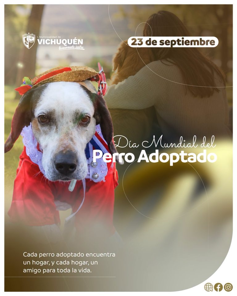 Adoptar es cambiar una vida para siempre