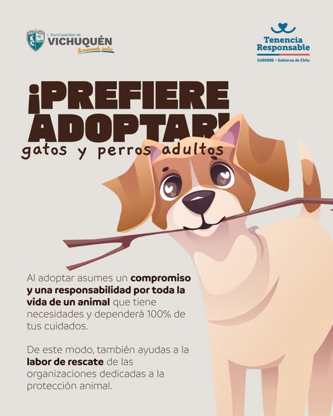 ¡Prefiere adoptar! Dale una segunda oportunidad a un perrito o gatito adulto